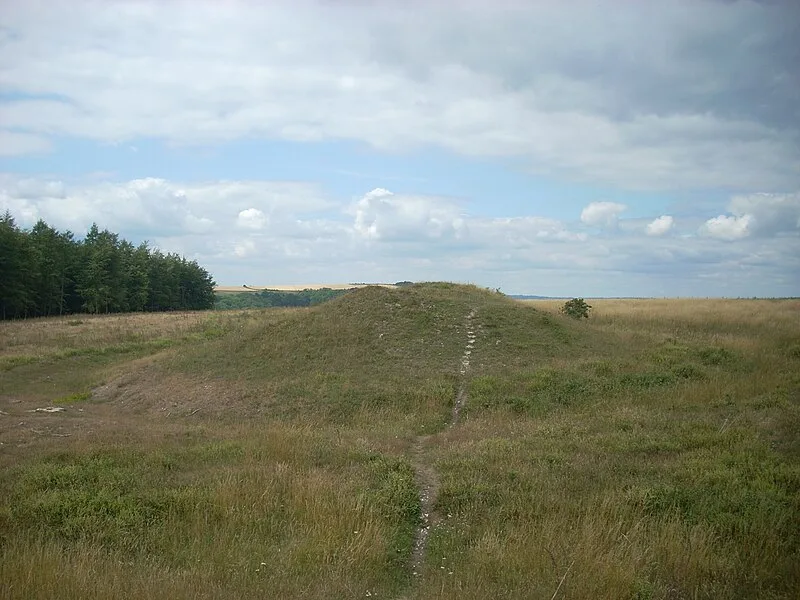 Devil's Jumps, Treyford