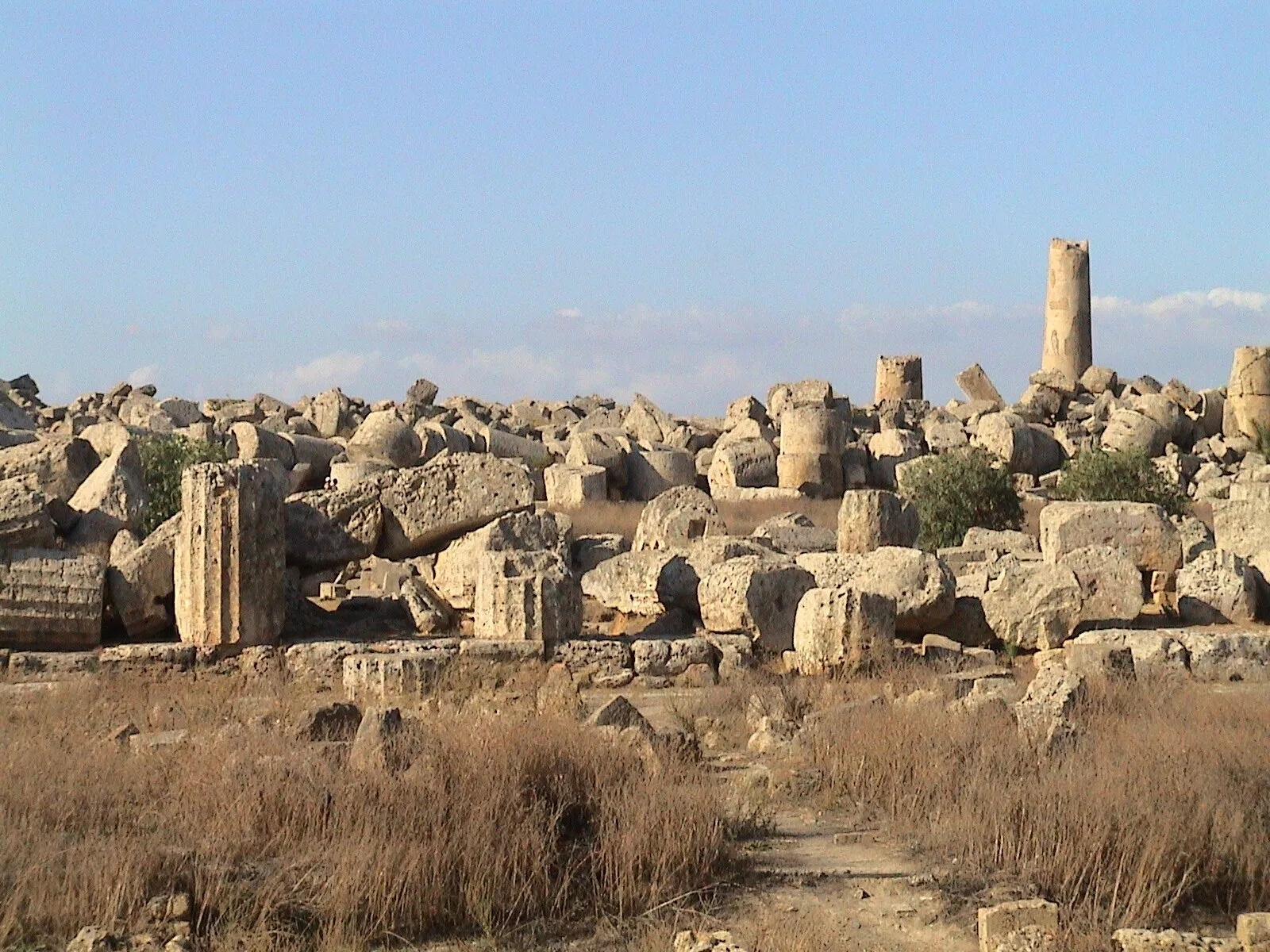 Temple F, Selinus
