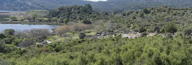 Kaunos