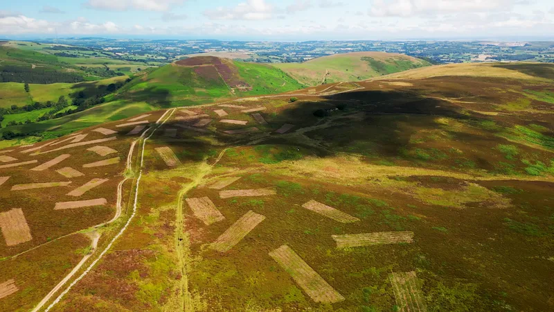 Moel Arthur
