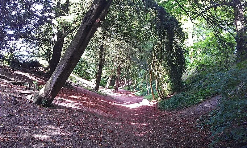 Wandlebury Hill Fort