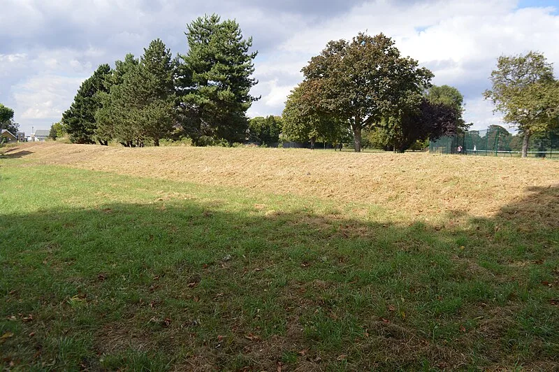 Danish Camp