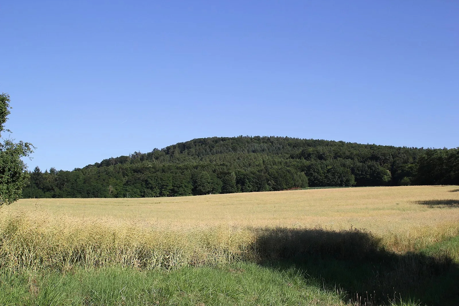 Schanzenkopf - Spessart