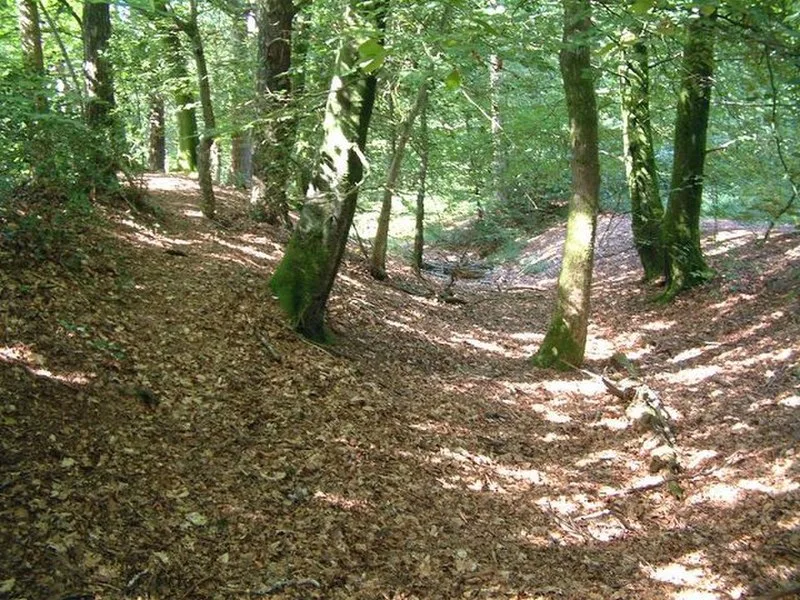 Castle Dyke