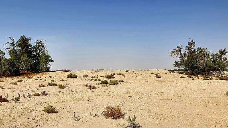 Ain Qannas