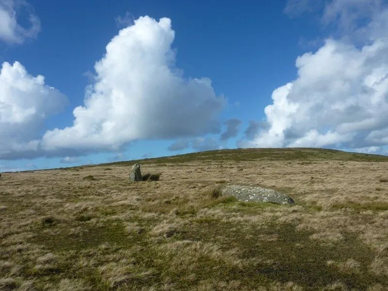 Waun Mawn