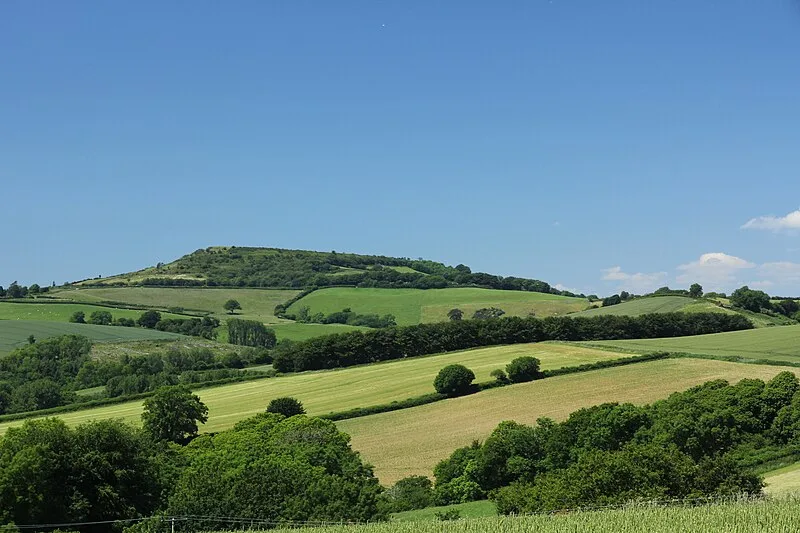 Pilsdon Pen