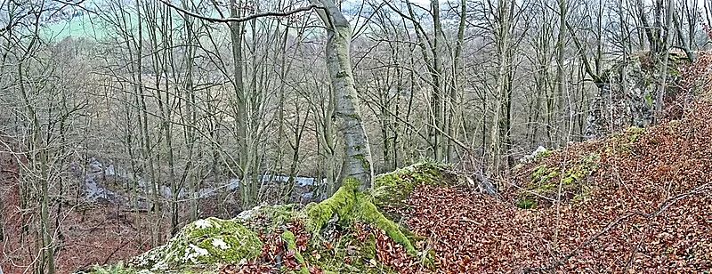 Grasburg, Rottleberode