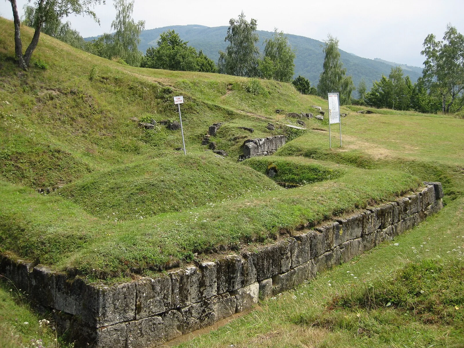 Dacian Fortress Costesti