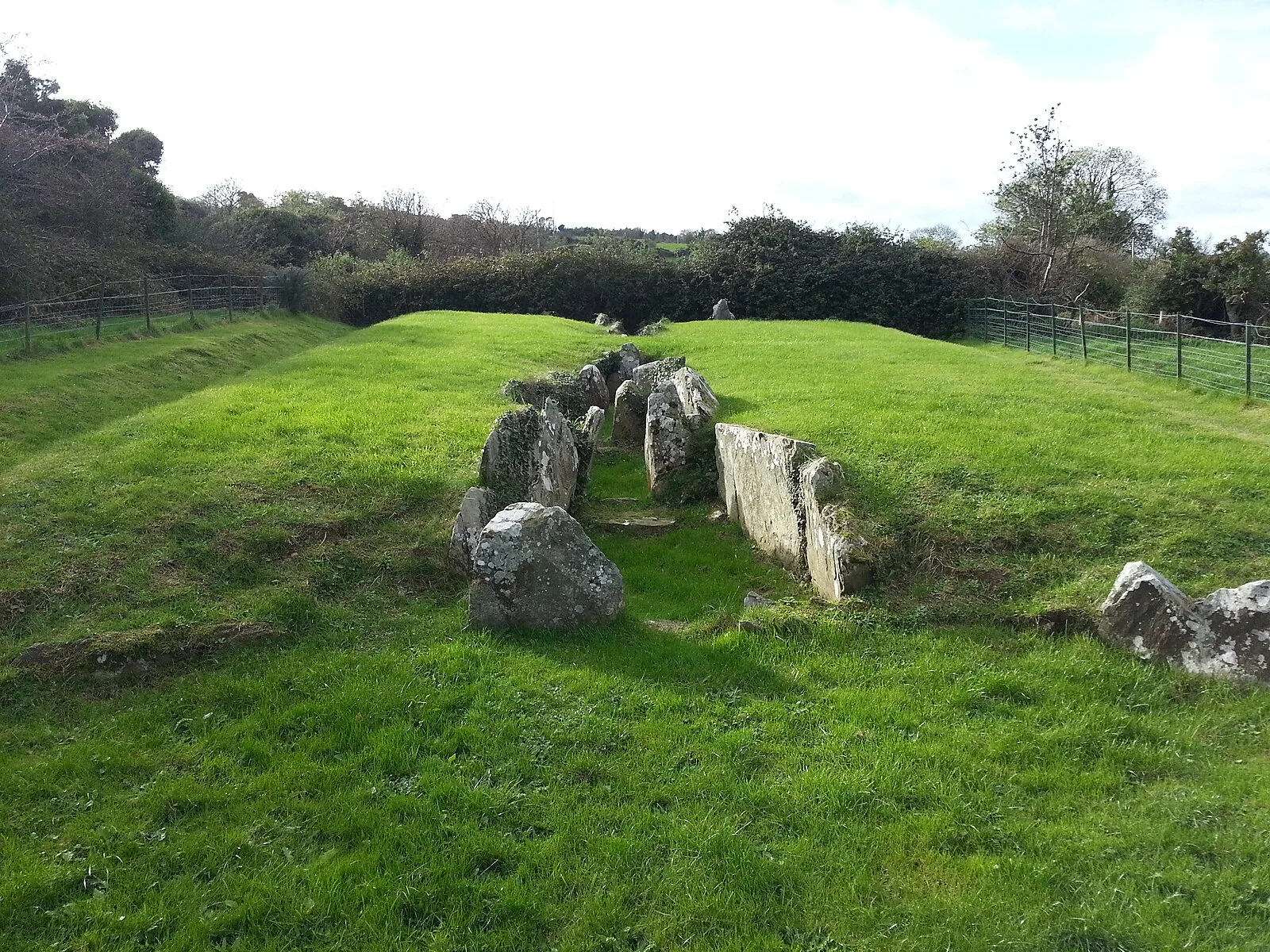 Audleystown Court Tomb