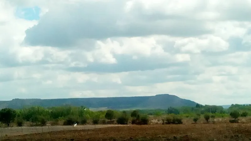 El Cedral