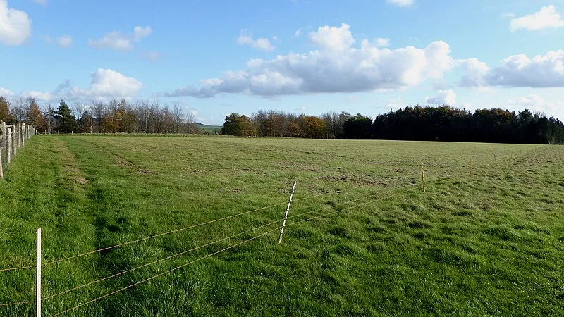 Woodhenge