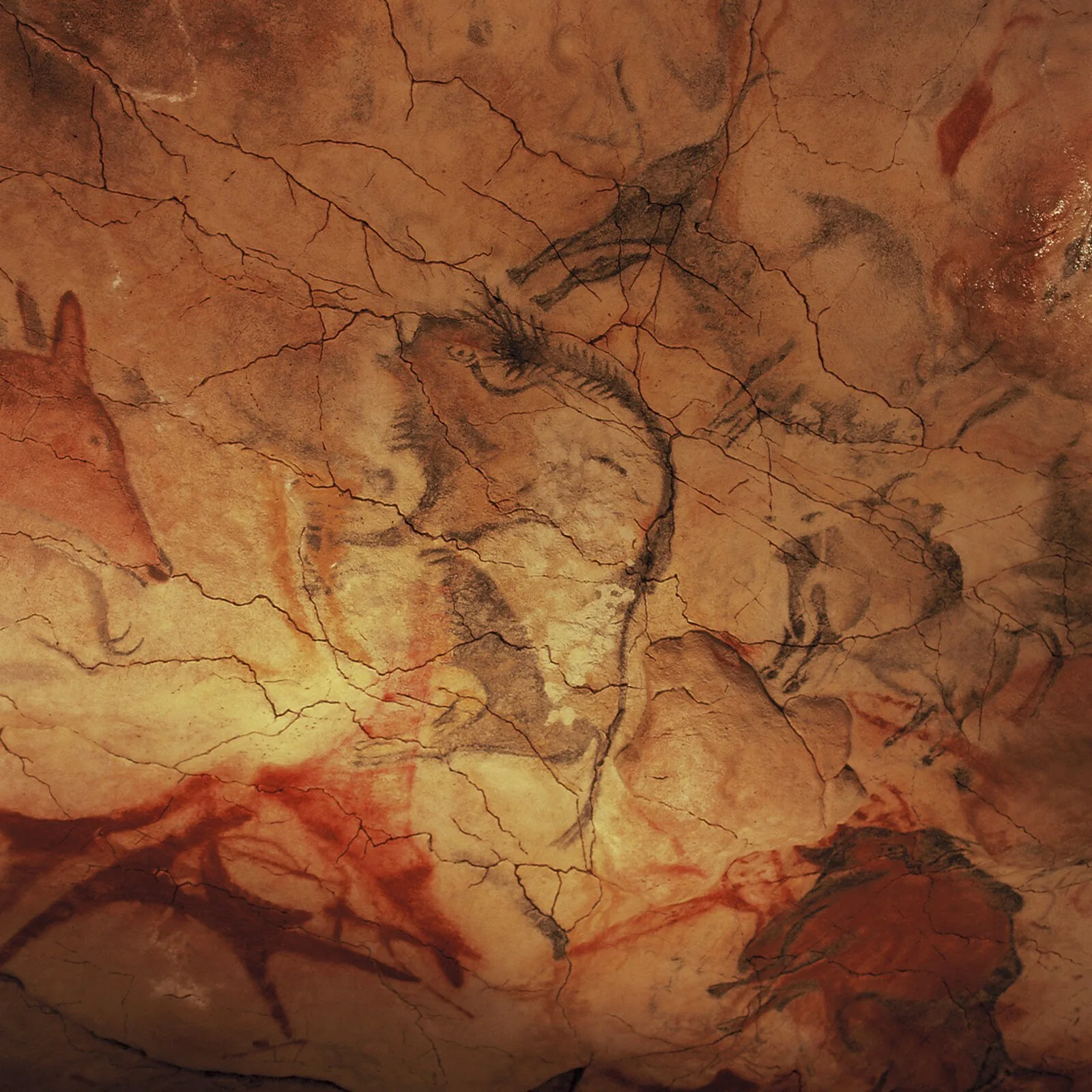 Caves in Cantabria