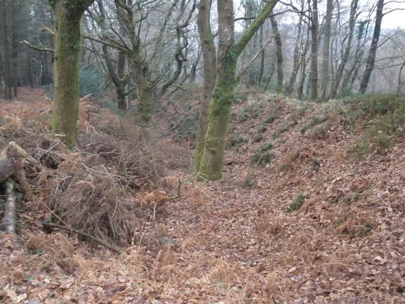 Wooston Castle
