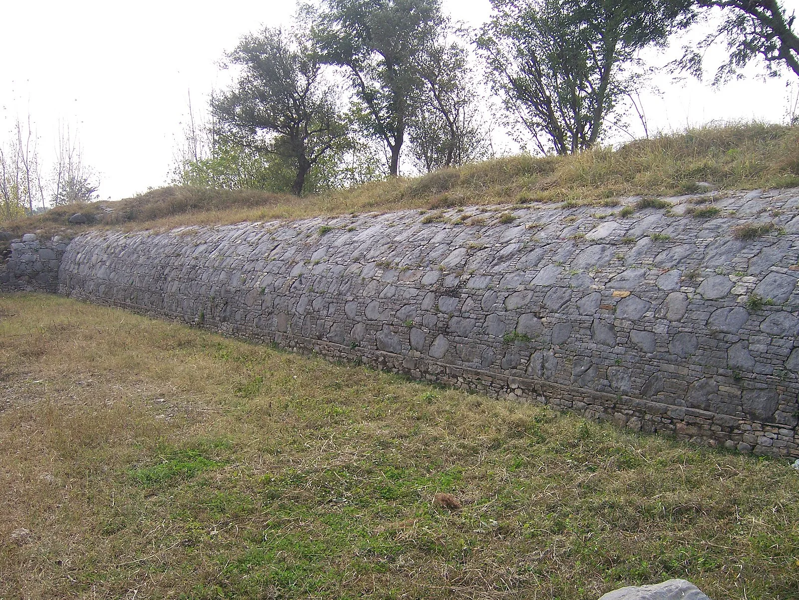 Sirsukh
