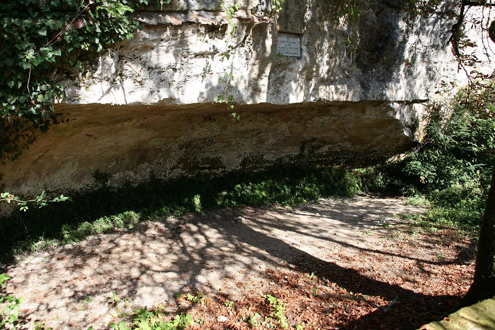 Cro-Magnon Rock Shelter