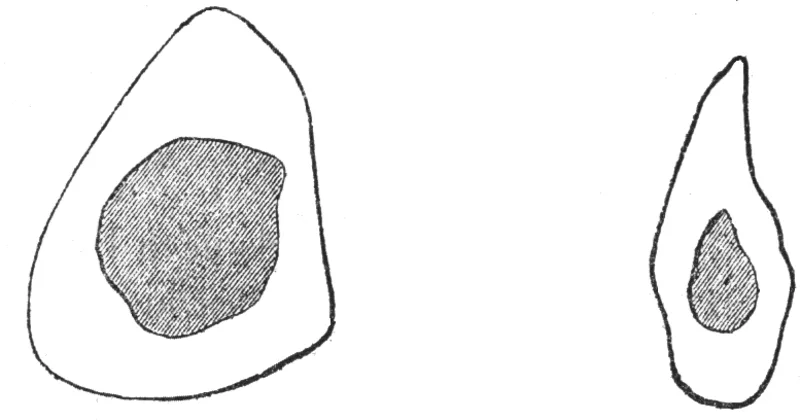 Cro-Magnon Rock Shelter