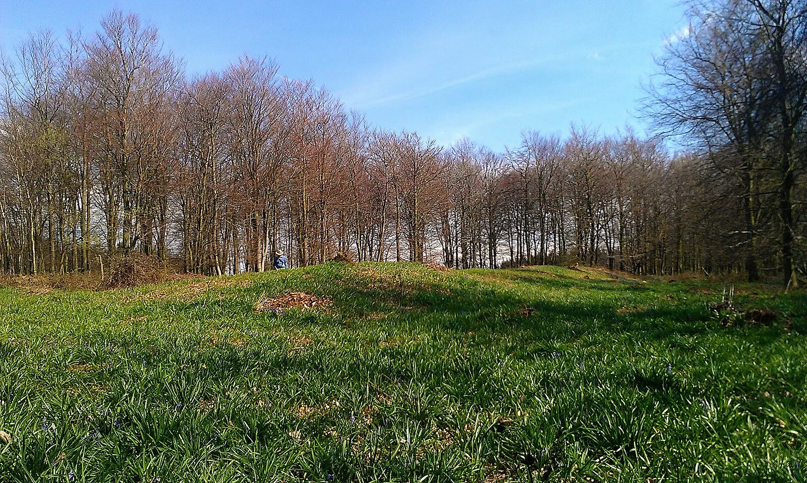 Jacket's Field Long Barrow