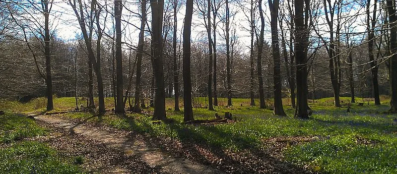 Jacket's Field Long Barrow