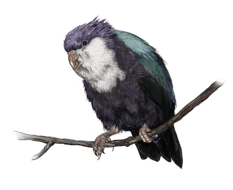 Fa'ahia