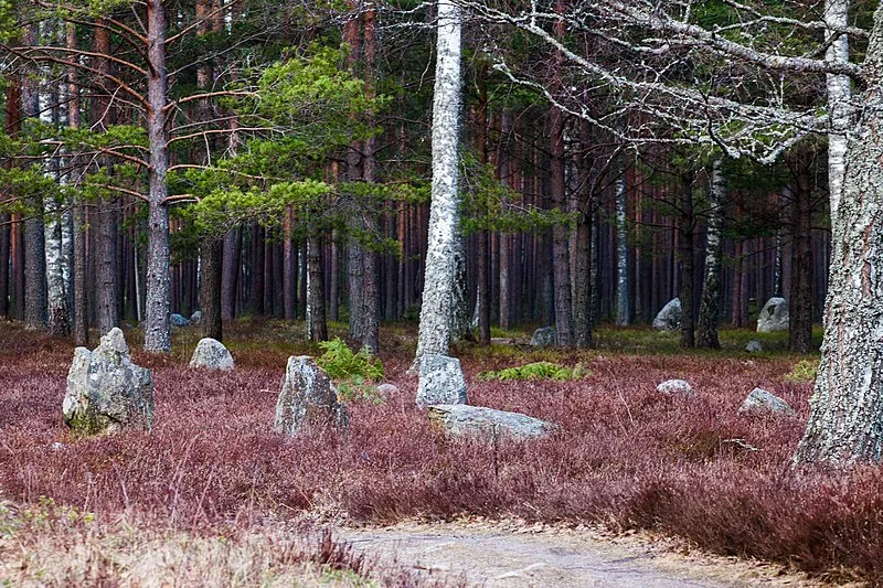 Jordbro Grave Field