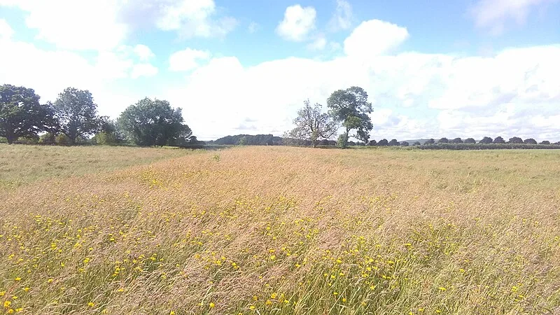 Marden Henge