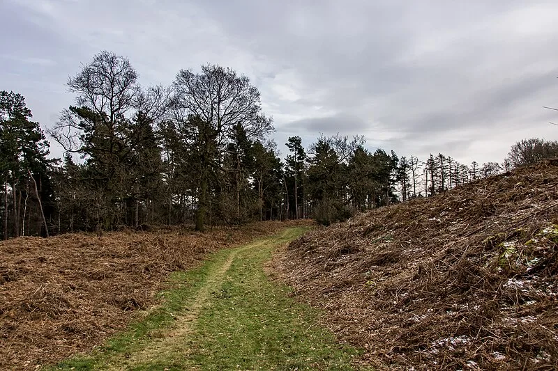 Bury Bank