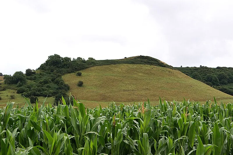 Cadbury Castle, Somerset