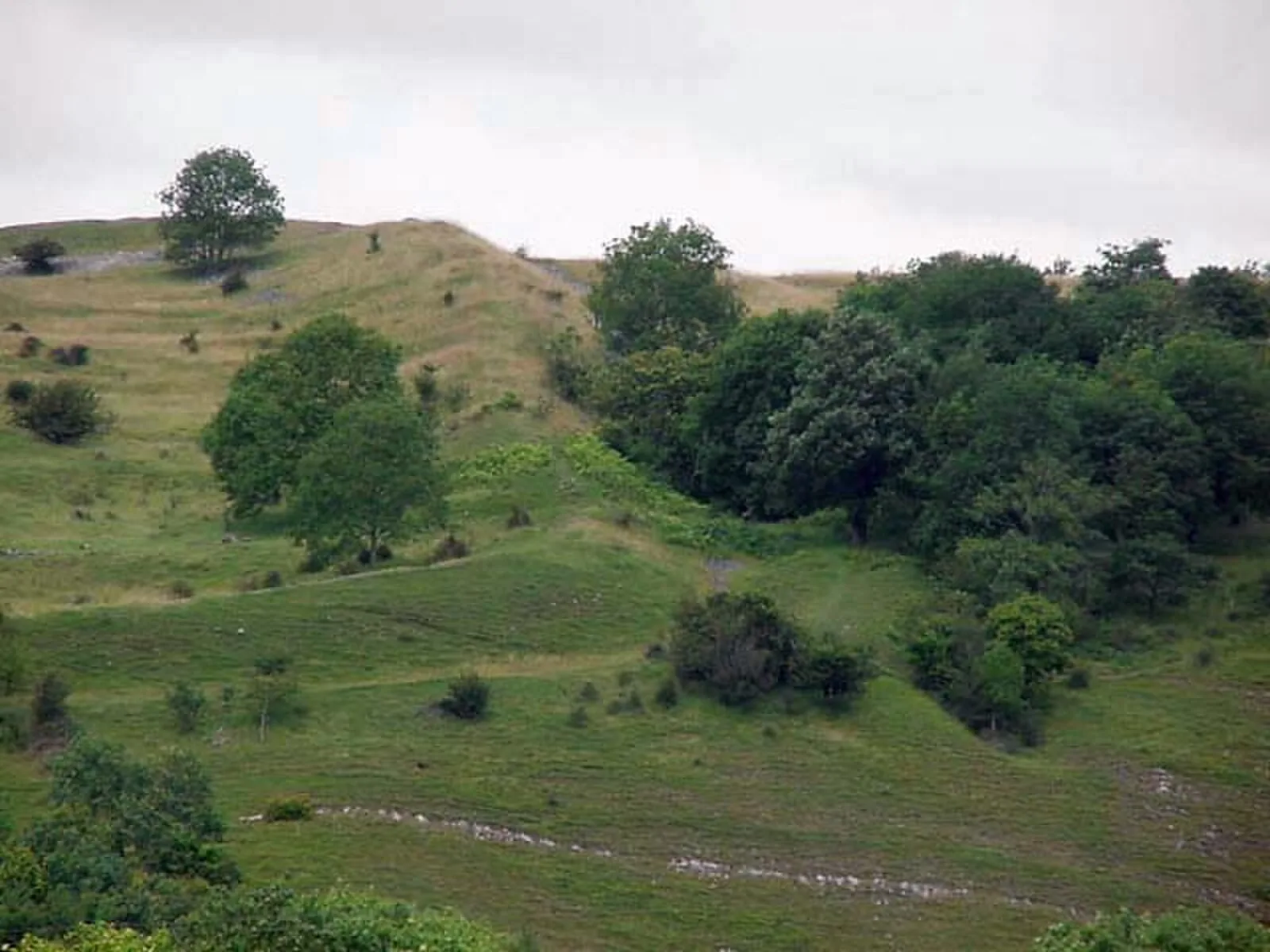 Dolebury Warren