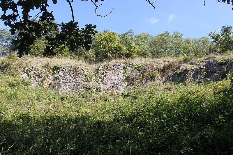 Dolebury Warren