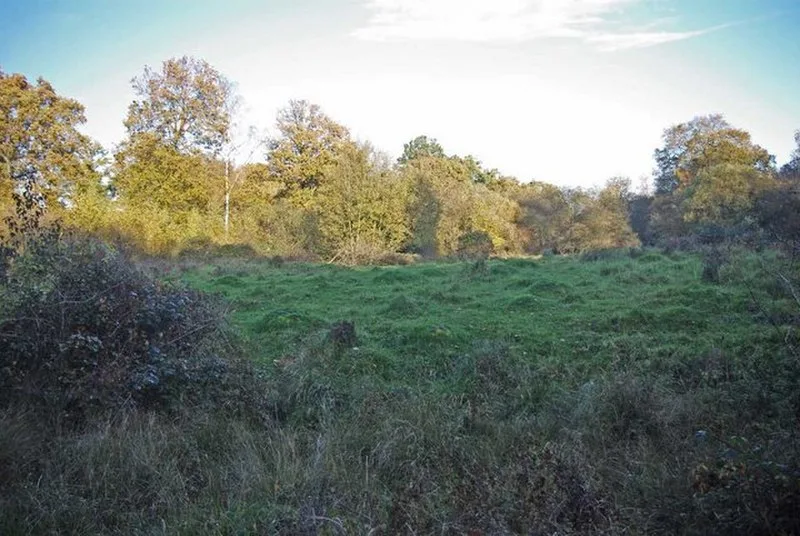 Portingbury Hills