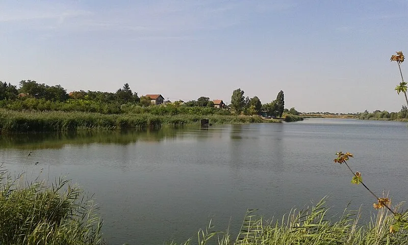 Čurug