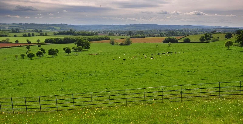 Killerton