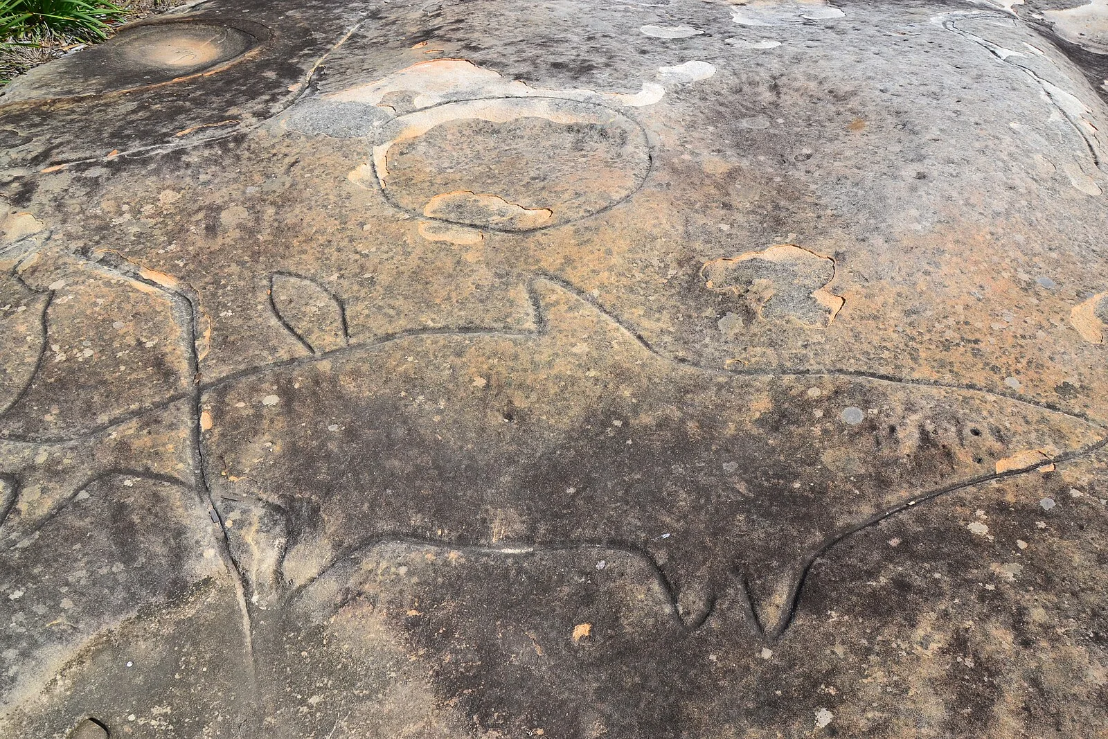 Aboriginal Sites of New South Wales