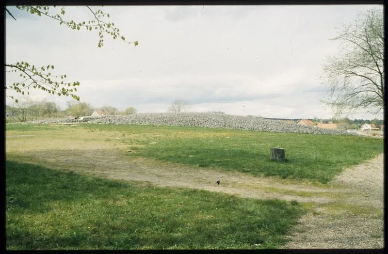 The King's Grave