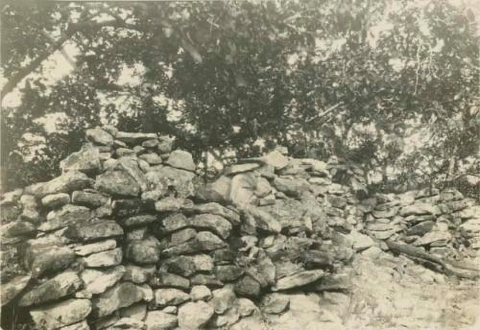 Tenampua