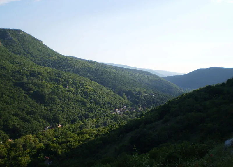 Balanica