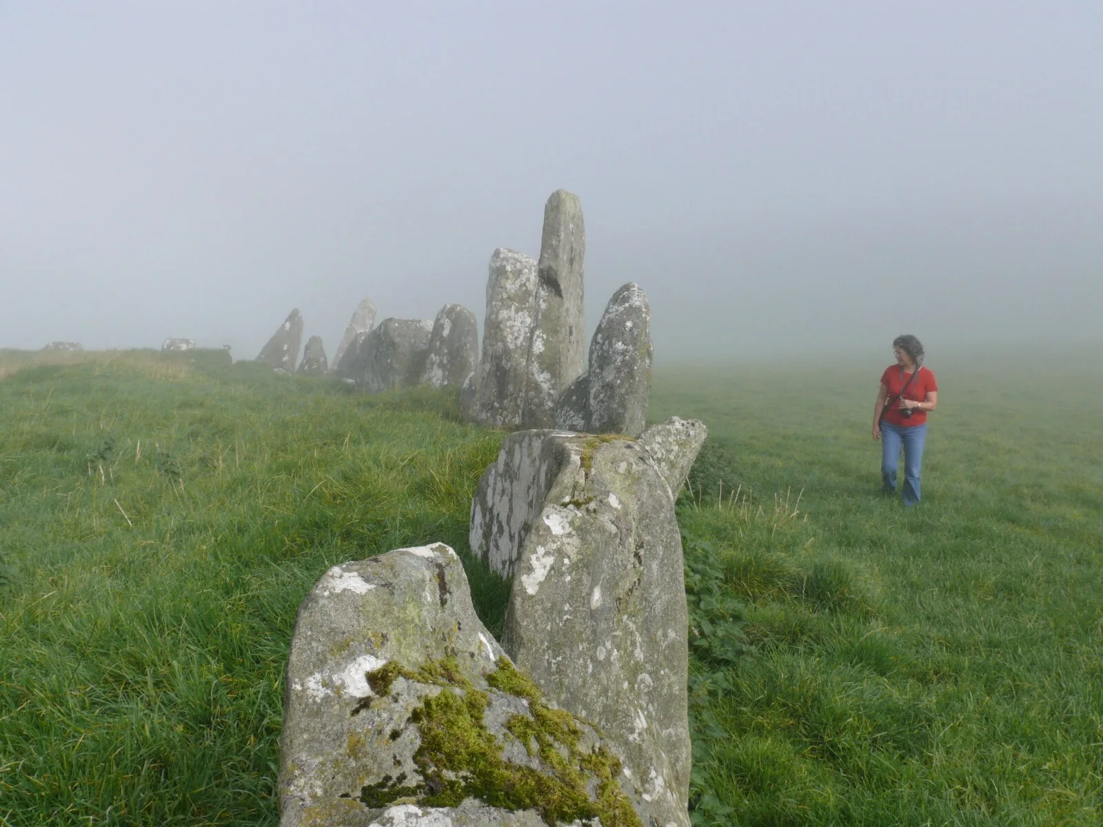 Beltany Stone Circle