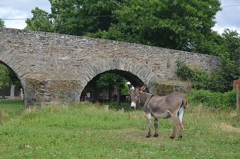 Ponte de Gimonde