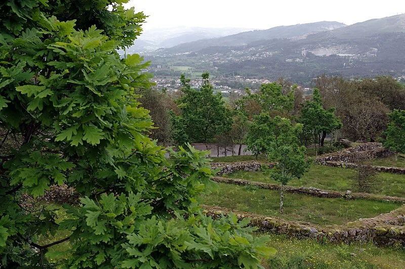 Citânia de Briteiros