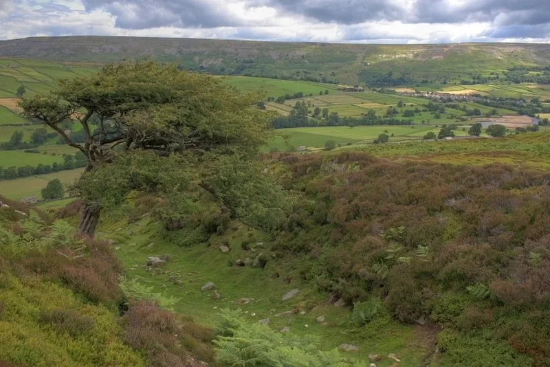 Maiden Castle, North Yorkshire