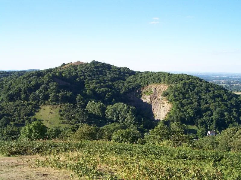 Hollybush Hill