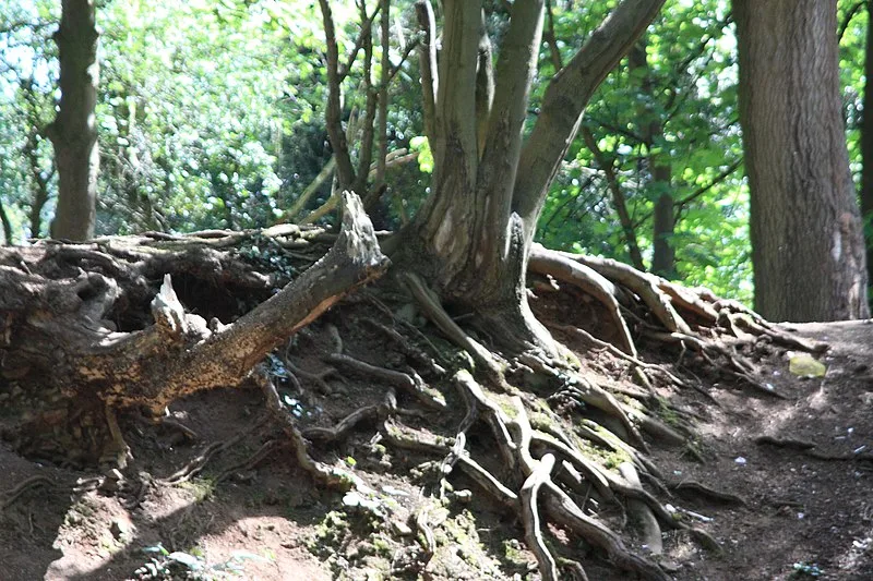 Hunsbury Hill