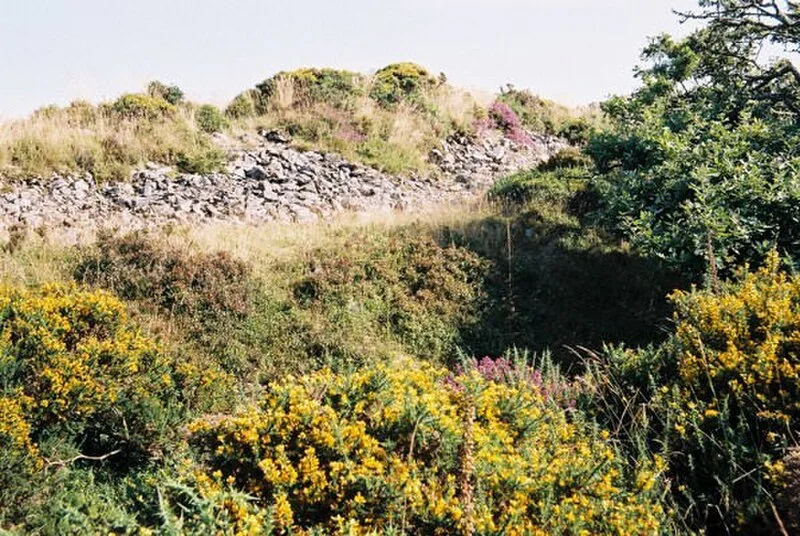 Cranbrook Castle