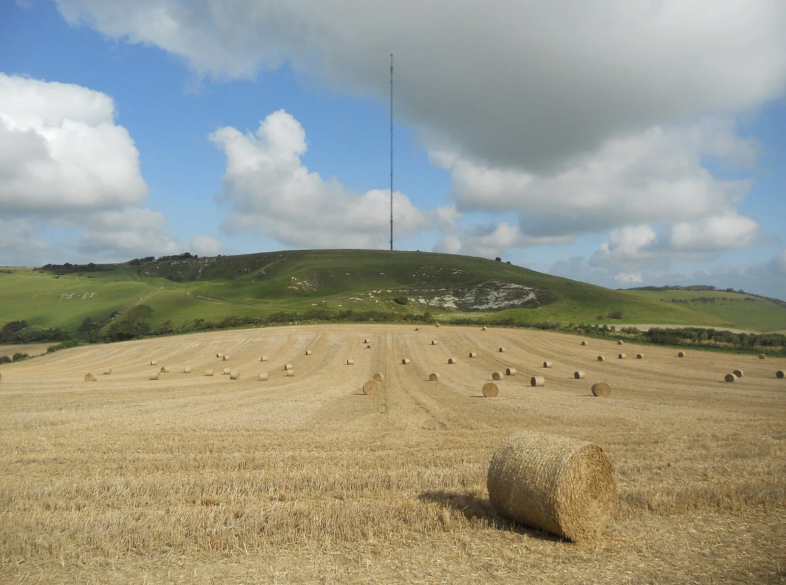 Chillerton Down