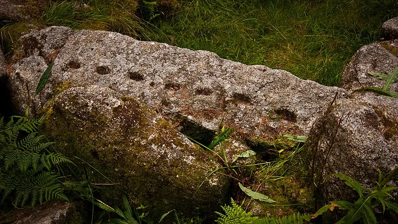 Ballyedmonduff Wedge Tomb