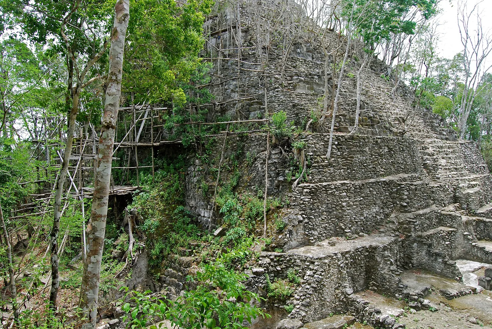 El Mirador