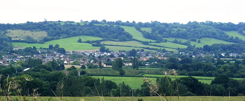 Burledge Hill