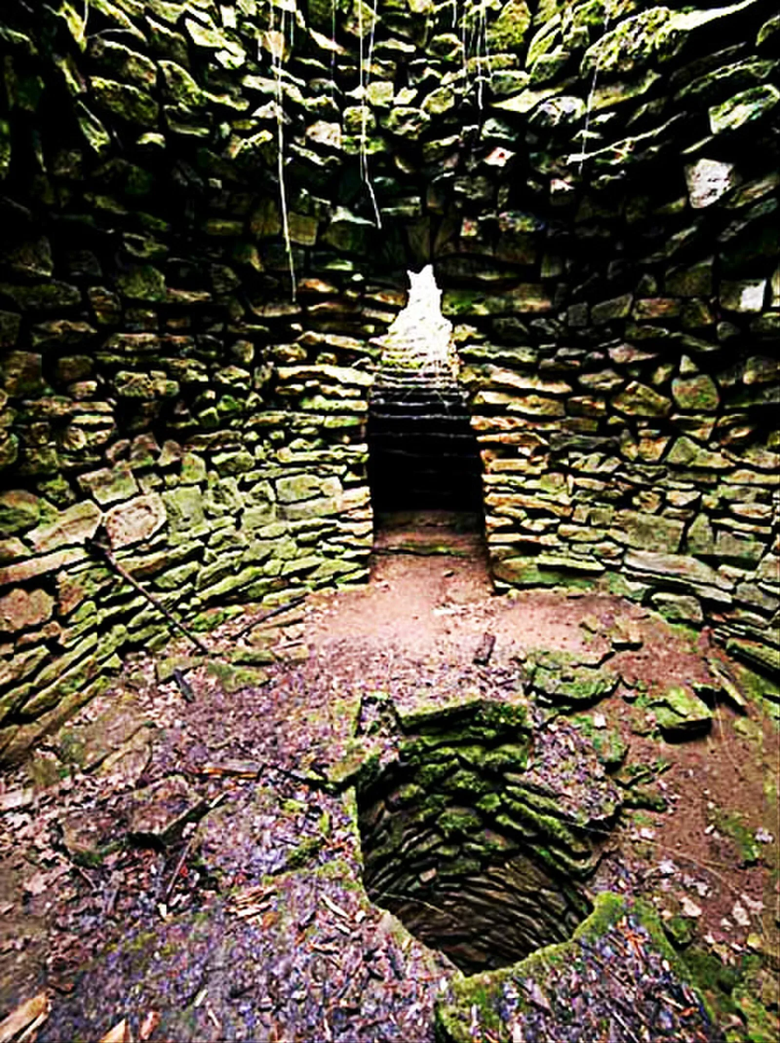 Sacred Pit of Garlo