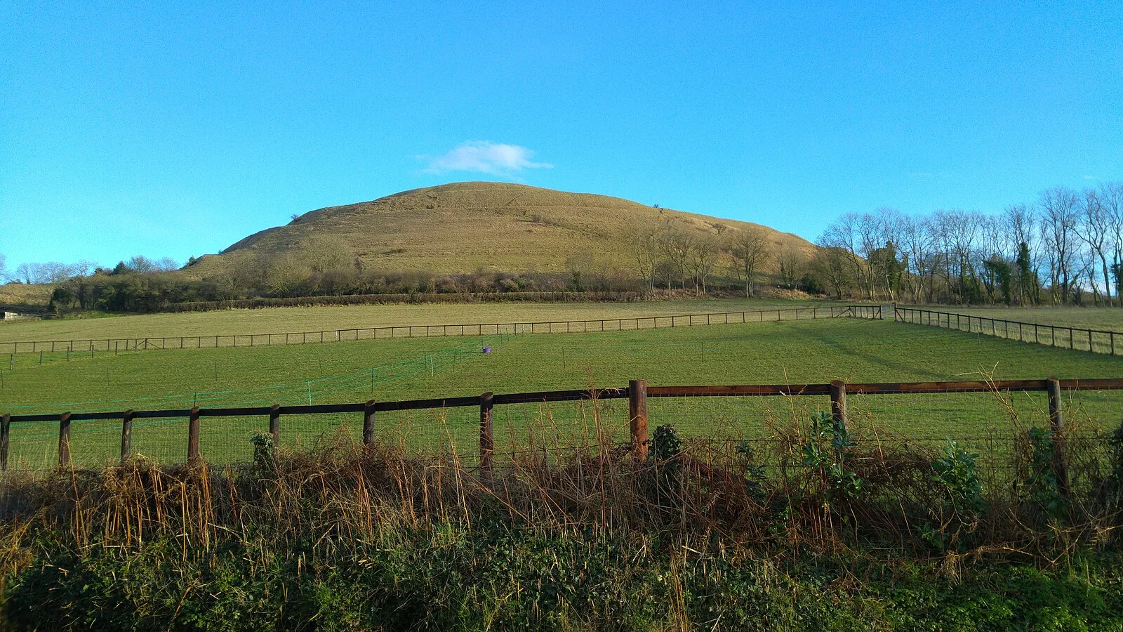 Hambledon Hill